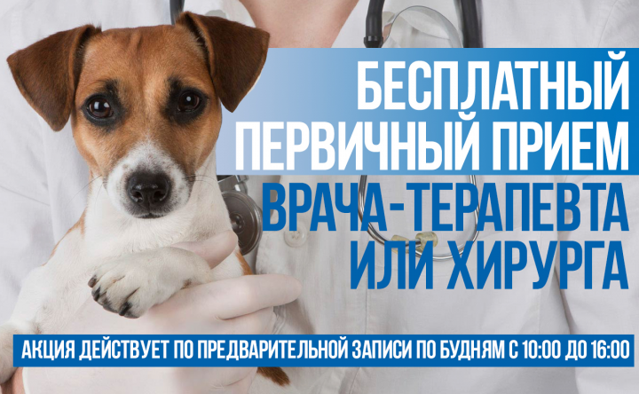Рекламный баннер Web