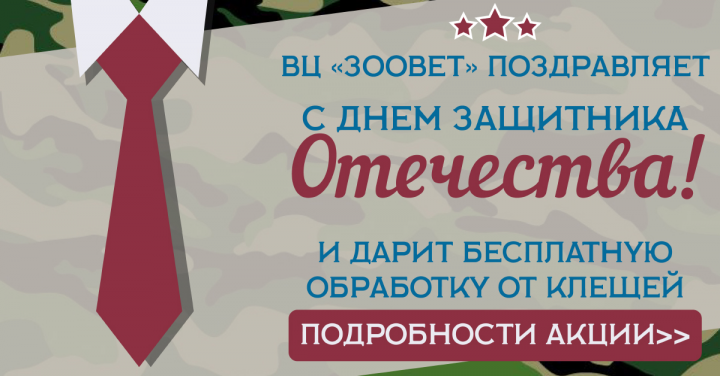 Баннер Web "23 февраля"