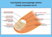 информационные постеры