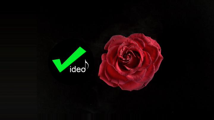 Video sound | «Discovery»