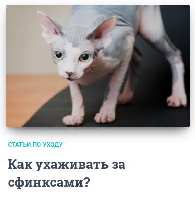 Питомник