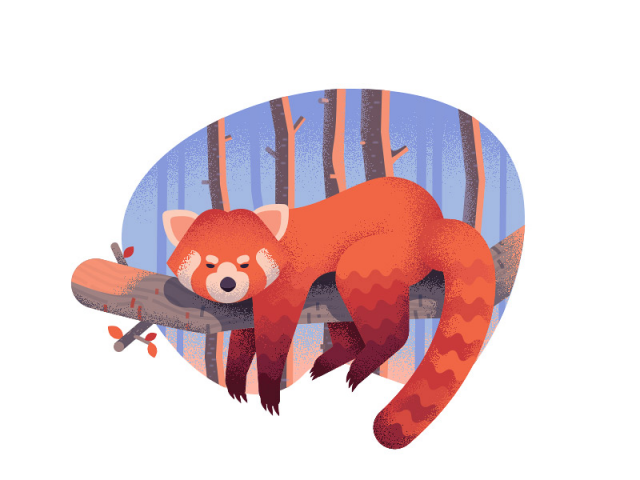 Red Racoon