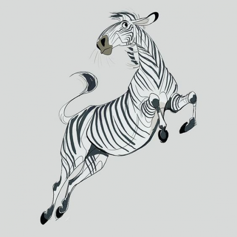 Zebra
