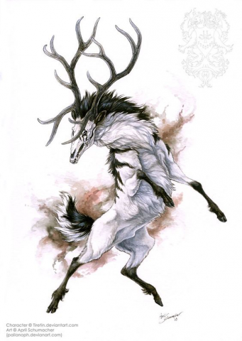 Deer