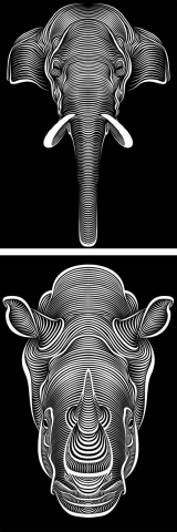 Rhino & Elephant