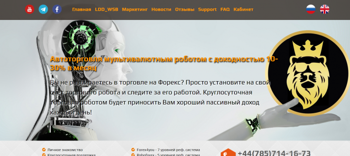Создание сайта для продажи мультивалютного Робота