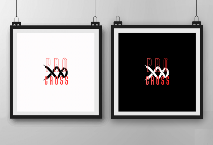 logo - PRO.cross