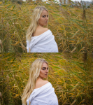 Работа 2413866