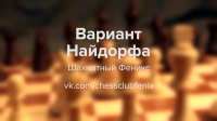 Заставка для клуба "Шахматный Феникс"