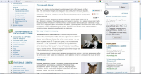 Статья о кошках