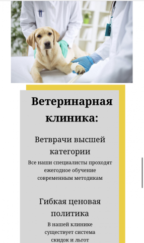 Ветеринарная клиника «БИС»