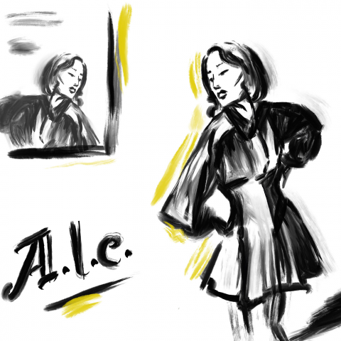 эскизная стилизация (A.L.C.)