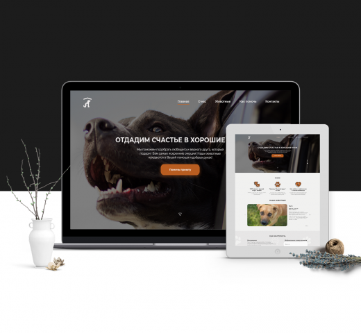 Landing Page для приюта "Лучший друг"