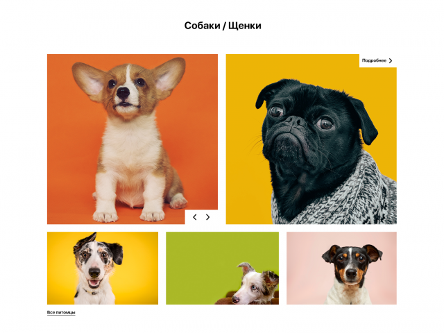 Лендинг для питомника собак и кошек MI Pets