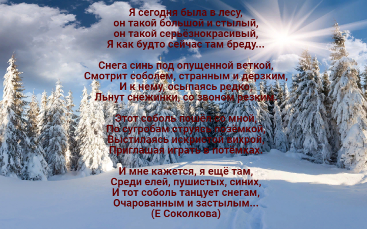 ЗИМНИЙ СОБОЛЬ