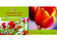 Каталог