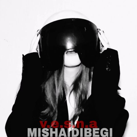 MISHAIDIBEGI - v.e.s.n.a
