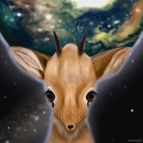 Дикдик держит планету