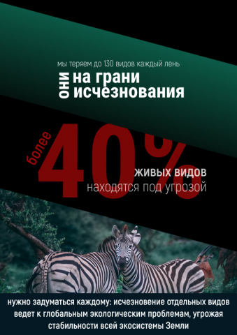 Постер