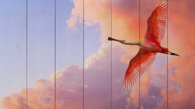 Картины на досках