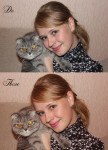 Ретушь
