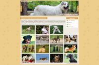 Kennel