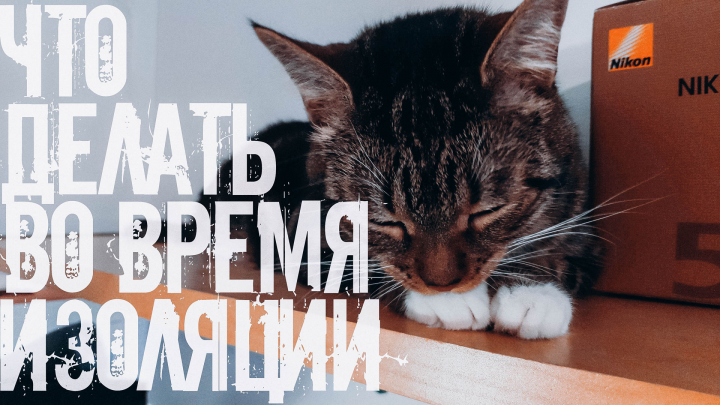 Блог-ролик на тему "Коронавирус и муки сознания"