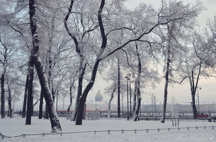 Работа 3856427