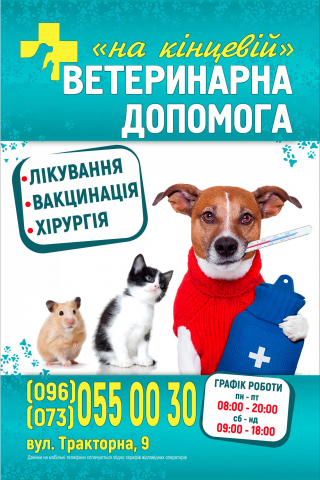 Работа 3848475