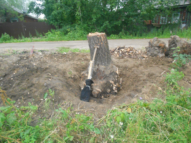 Корчевание пней