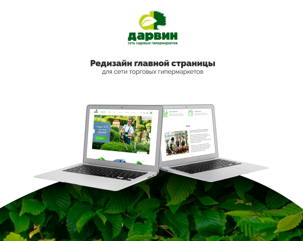 Редизайн сайта сети "Дарвин"