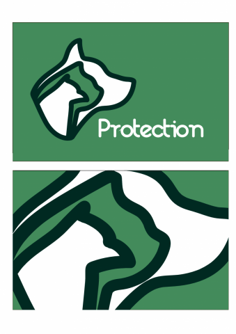 Protection