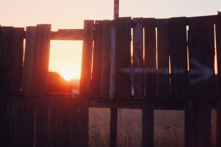 Работа 3830832