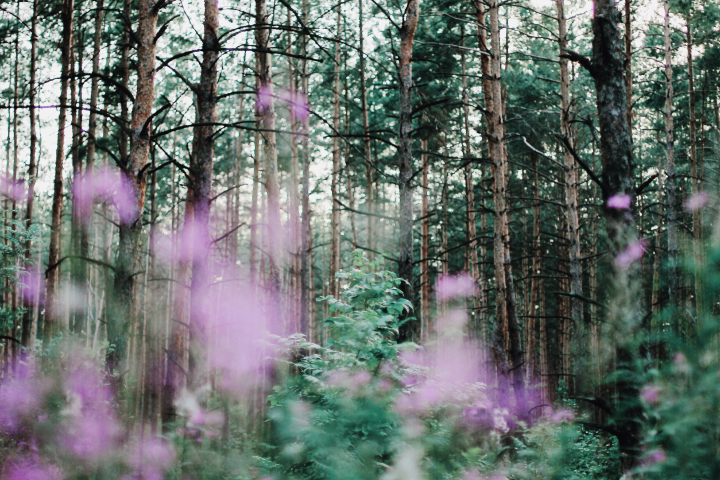 Работа 3830827