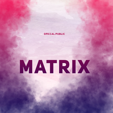 Matrix-DAMON