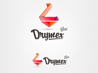 Логотип компании Drymex