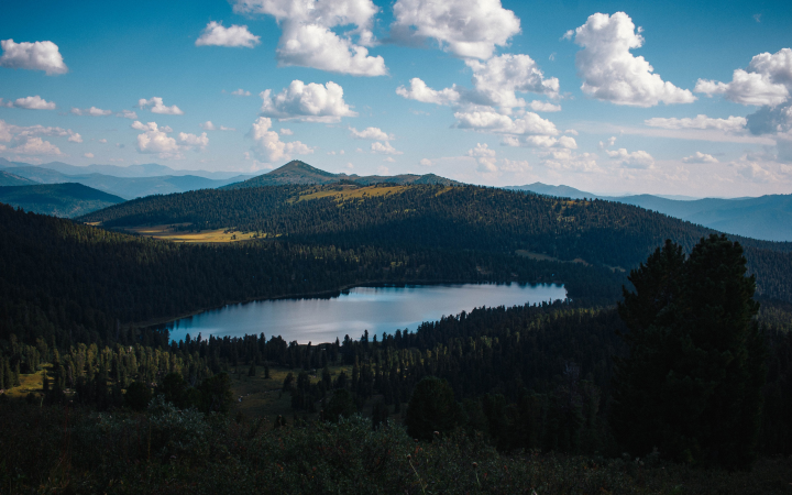 Работа 3720836