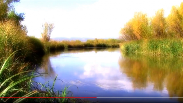 Морозов. Производство. ТВ реклама