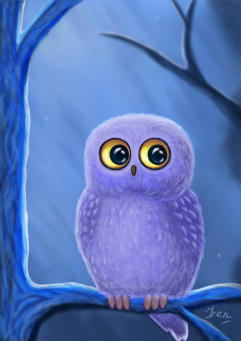 Night Owl