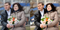 Работа 2931153