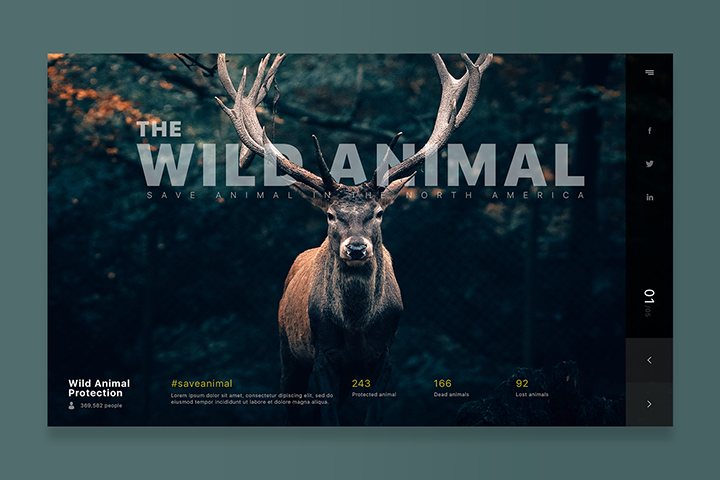 Главная страница | Wild Animal Protection