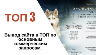 SEO для питомника