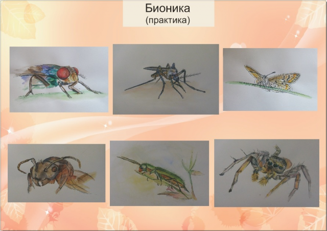 Работа 3134612