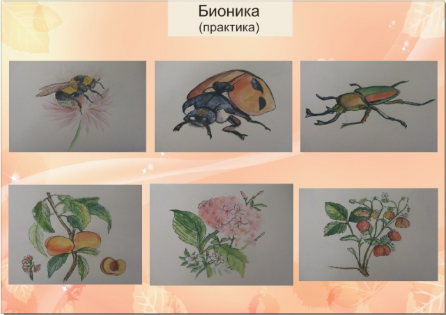 Работа 3134610