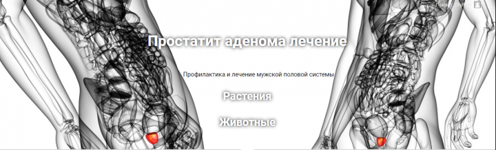 Сайт на Wordpress + Elementor