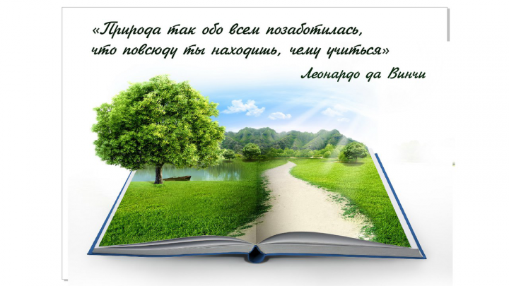 Работа 3539163