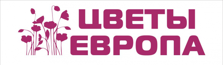 Работа 3816230