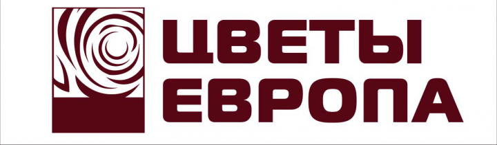 Работа 3816229