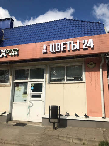 ЦВЕТЫ 24 "КАМЕЛИЯ"