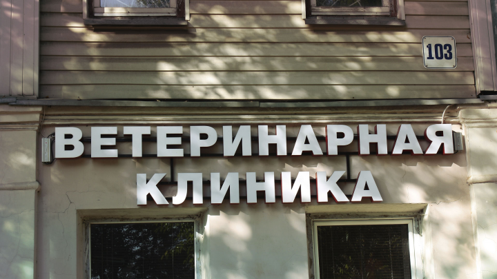 Разработка дизайна вывески